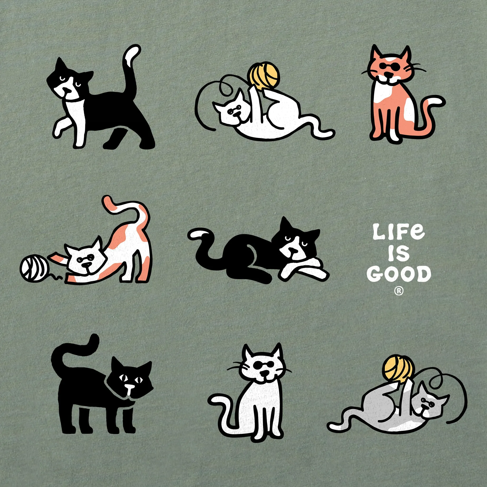 Women's Al the Cat Grid Short Sleeve Crusher Tee Life is Good