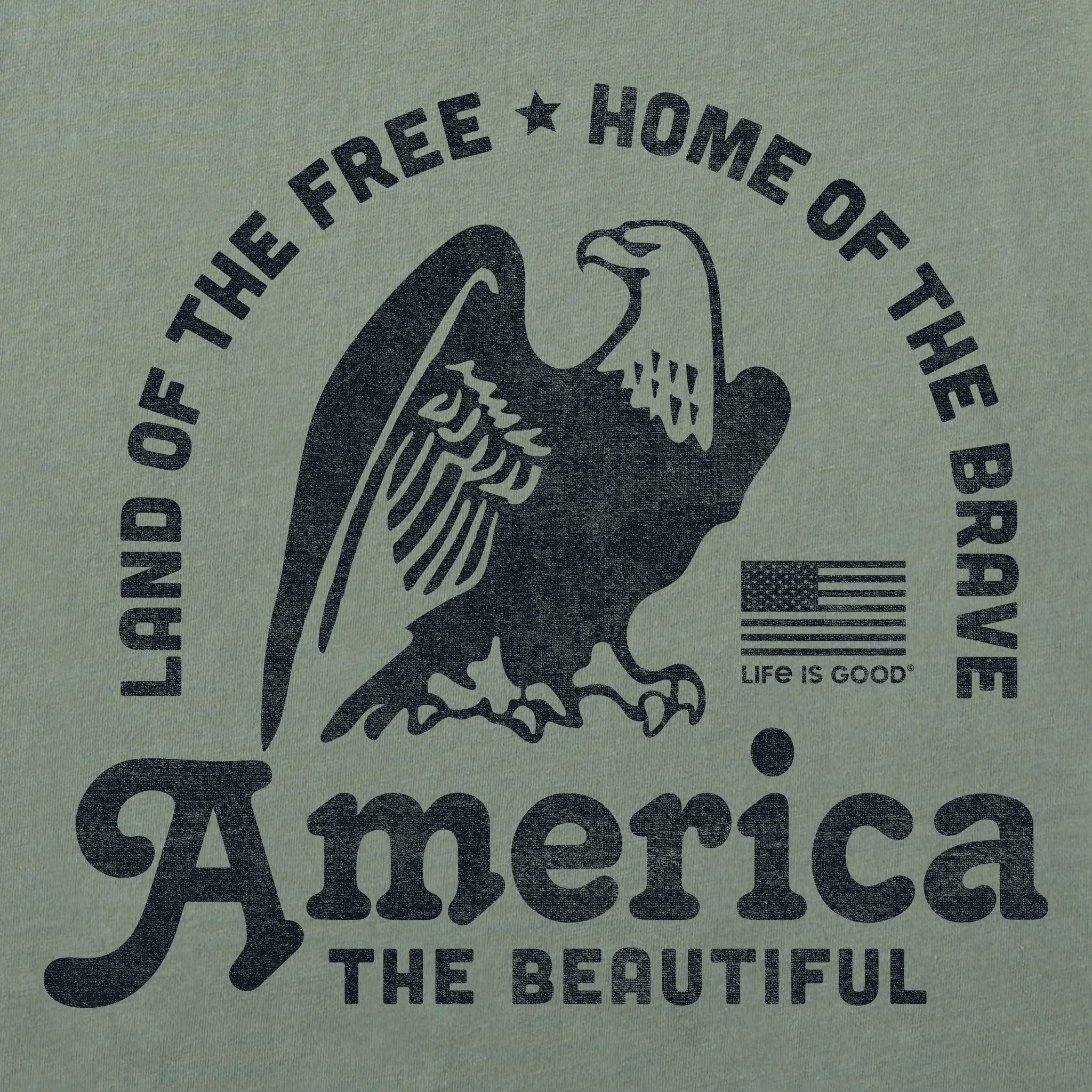Women's America the Beautiful Eagle Short Sleeve Crusher Boxy Tee Life is Good