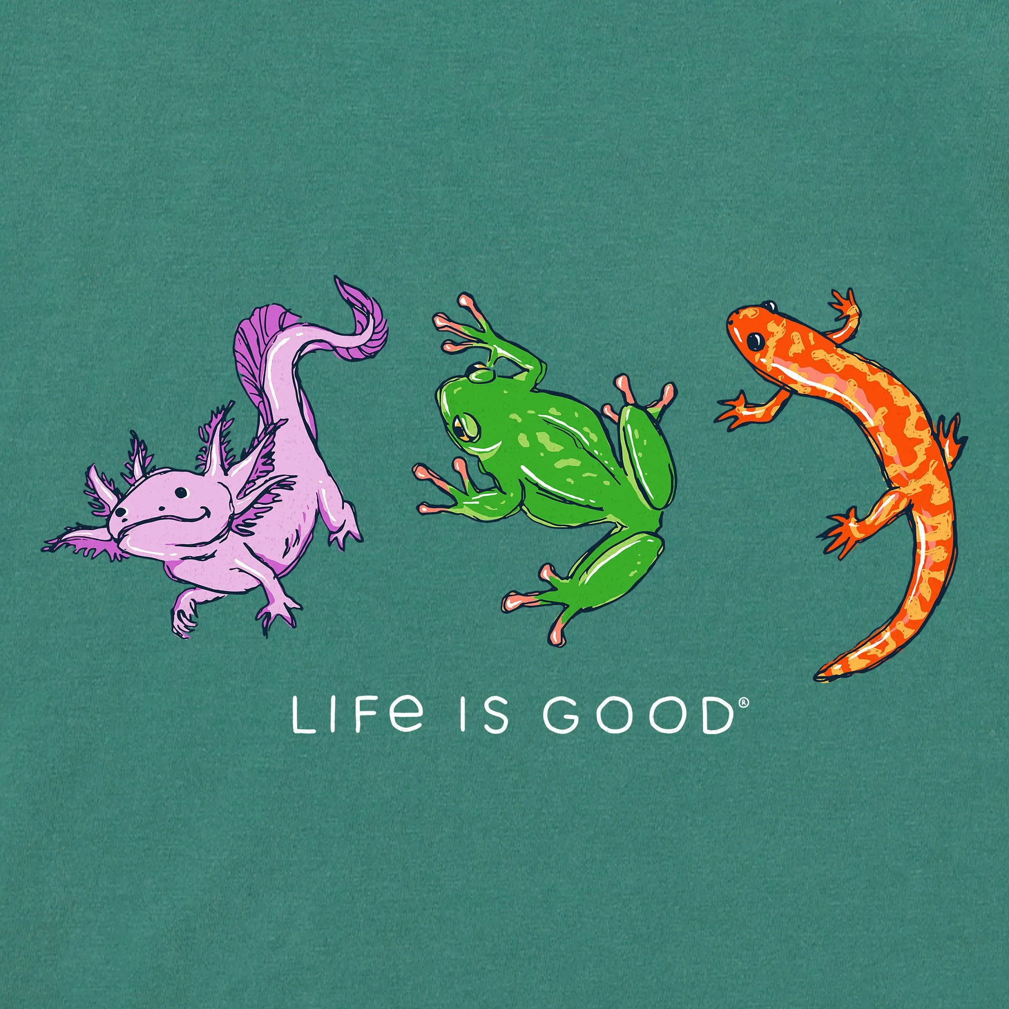 Women's Amphibious Trio Short Sleeve Crusher Boxy Tee Life is Good