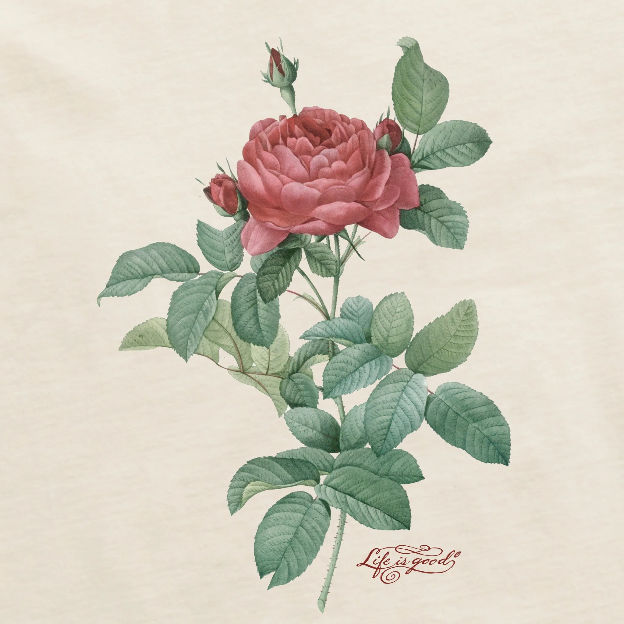 Women's Antique Rose Painting Short Sleeve Crusher Tee Life is Good