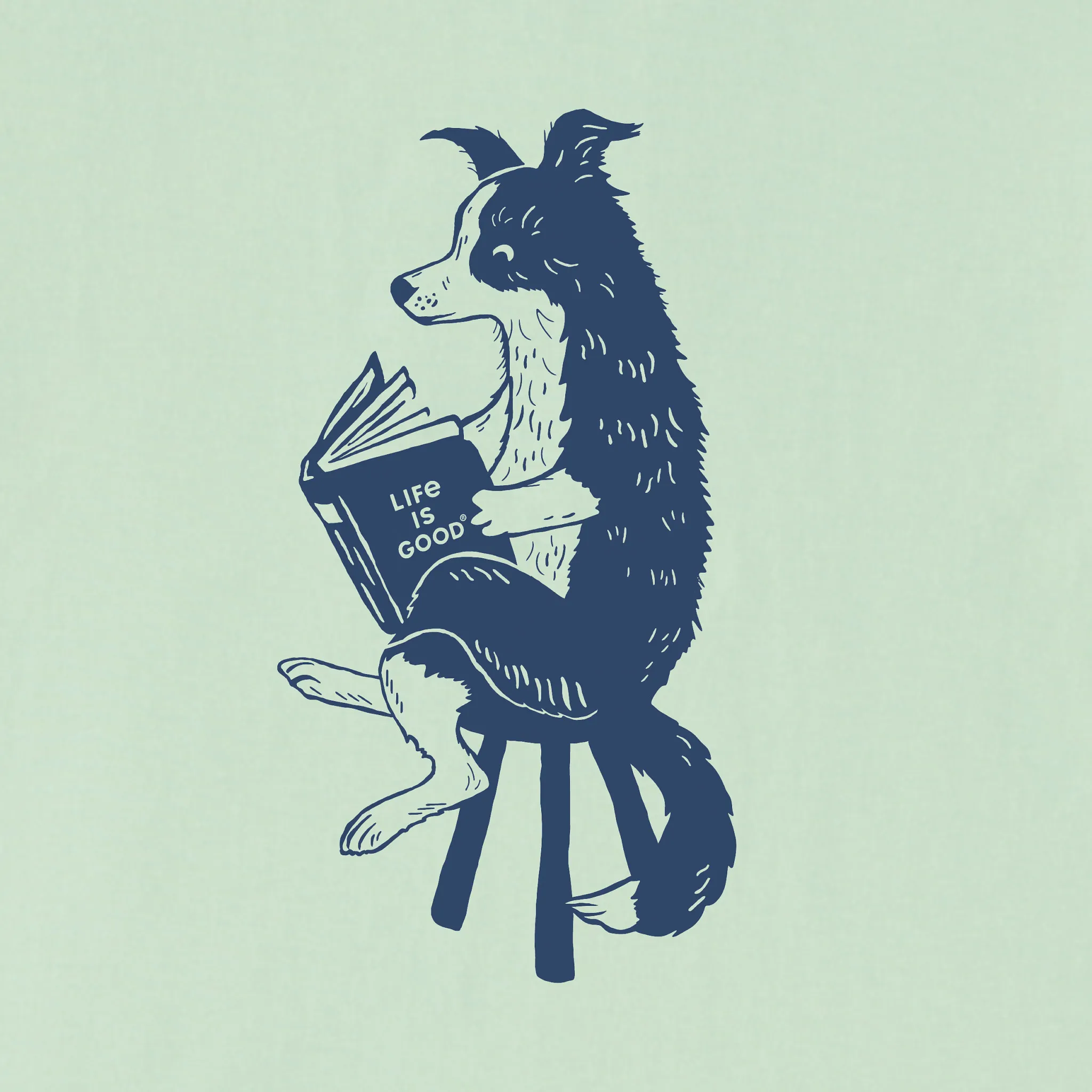 Women's Bert's Collie with Book Short Sleeve Crusher Boxy Tee Life is Good