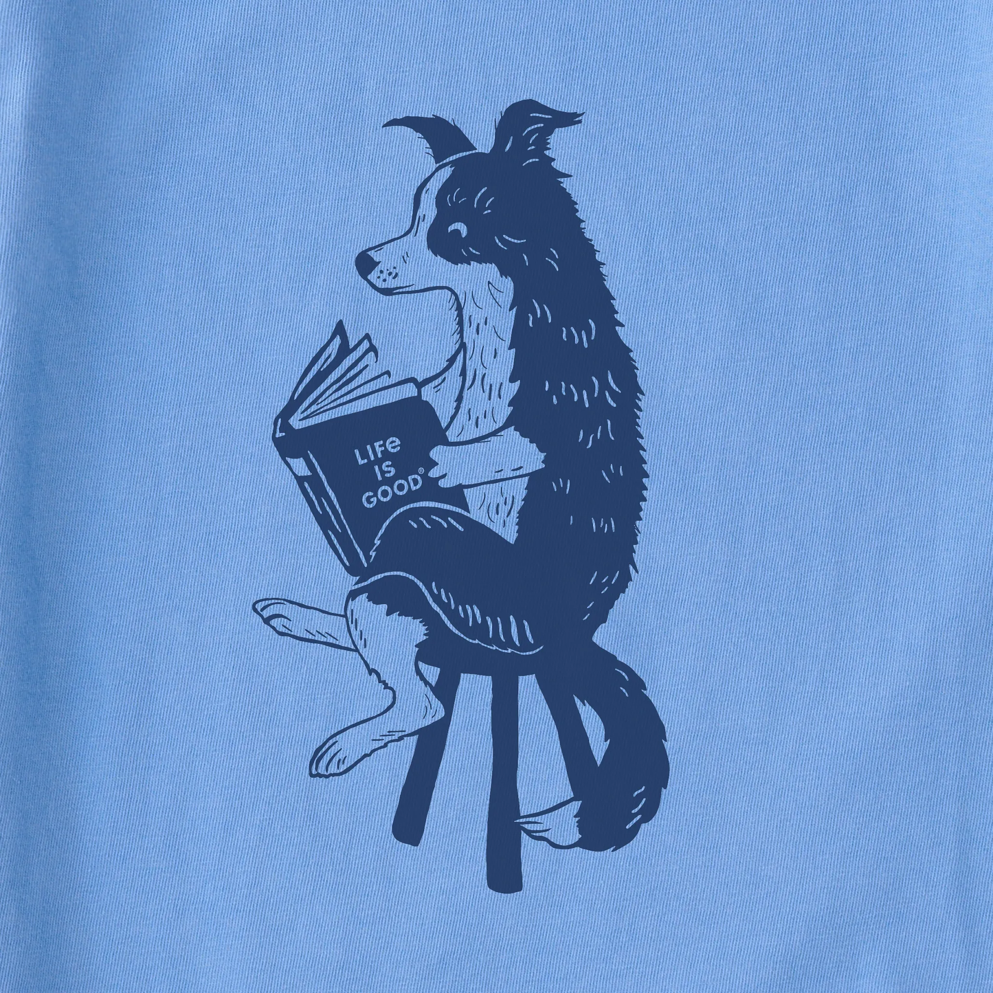 Women's Bert's Collie with Book Short Sleeve Crusher Boxy Tee Life is Good