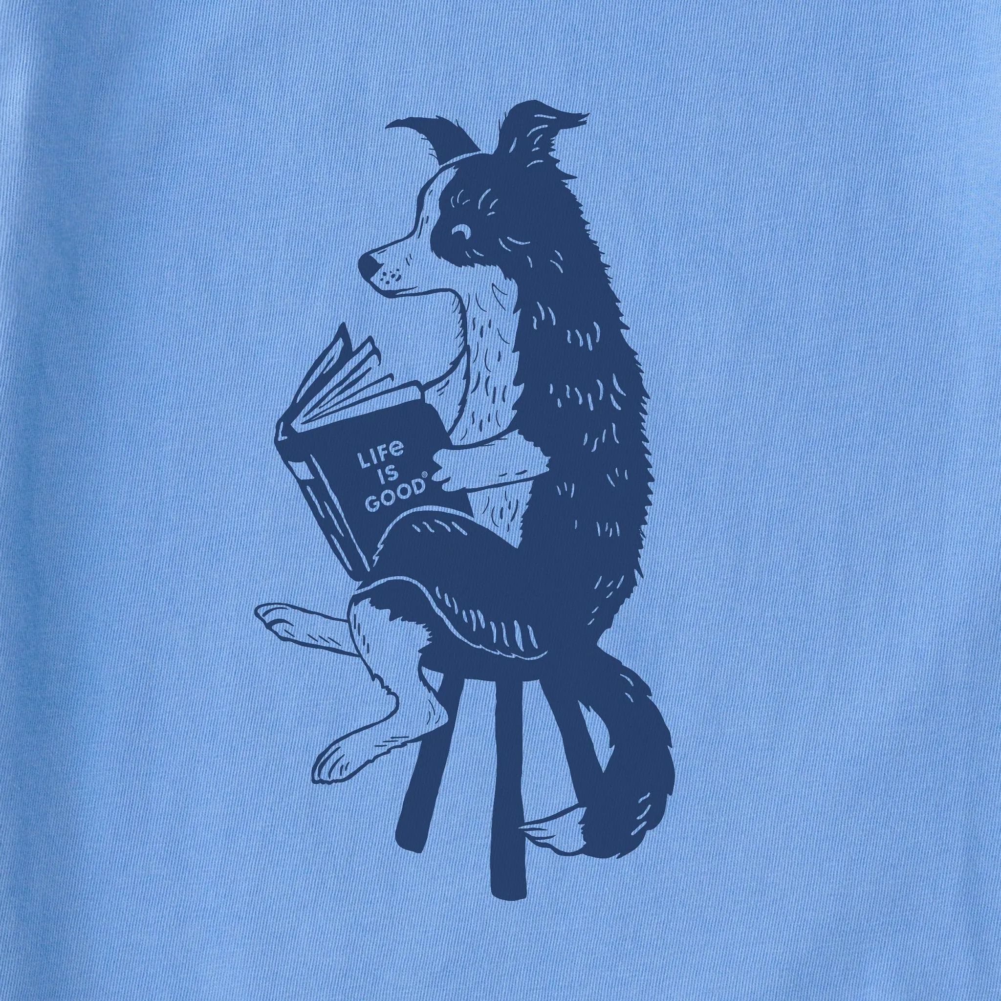 Women's Bert's Collie with Book Short Sleeve Crusher Boxy Tee Life is Good