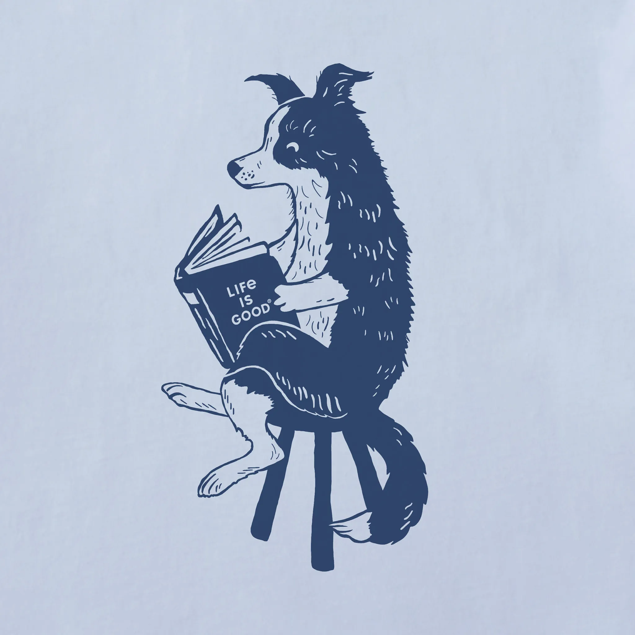 Women's Bert's Collie with Book Short Sleeve Crusher Boxy Tee Life is Good