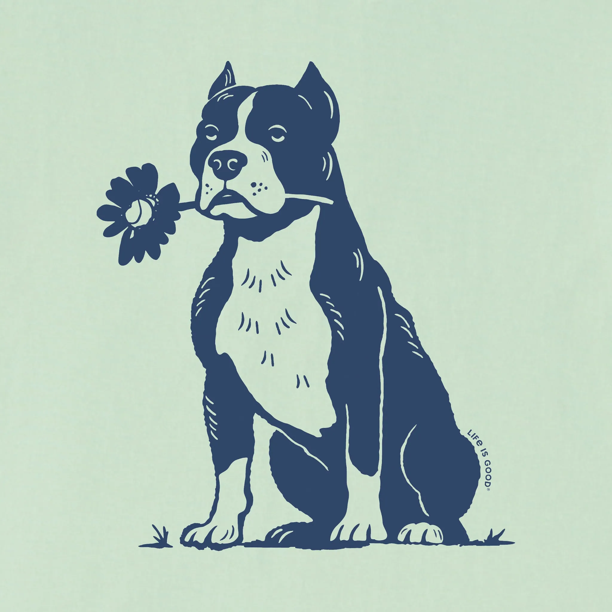 Women's Bert's Pit with Flower Short Sleeve Crusher Boxy Tee Life is Good