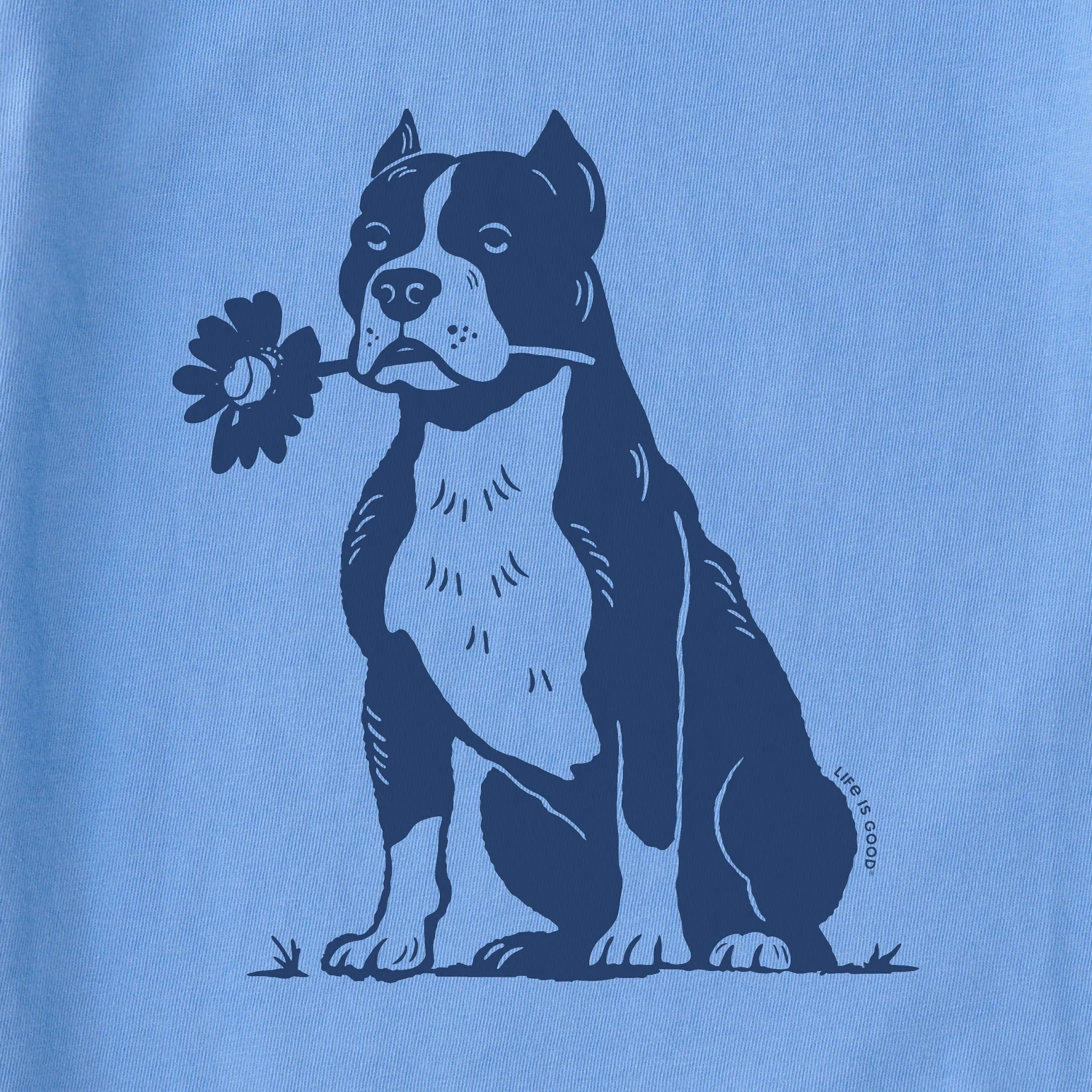 Women's Bert's Pit with Flower Short Sleeve Crusher Boxy Tee Life is Good