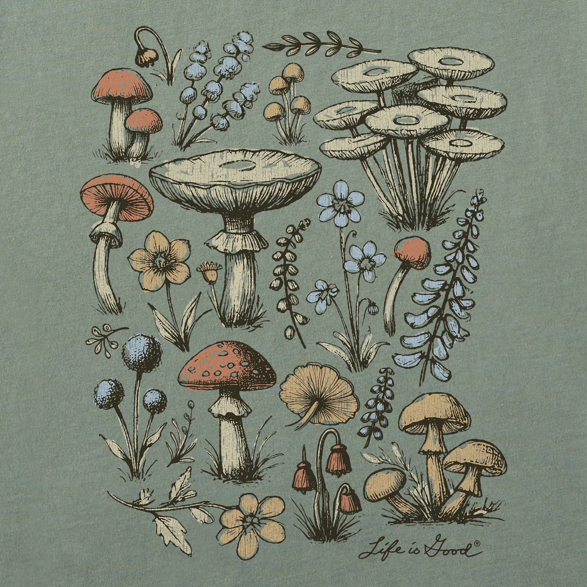 Women's Botanical Shrooms & Wildflowers Short Sleeve Crusher Boxy Tee Life is Good