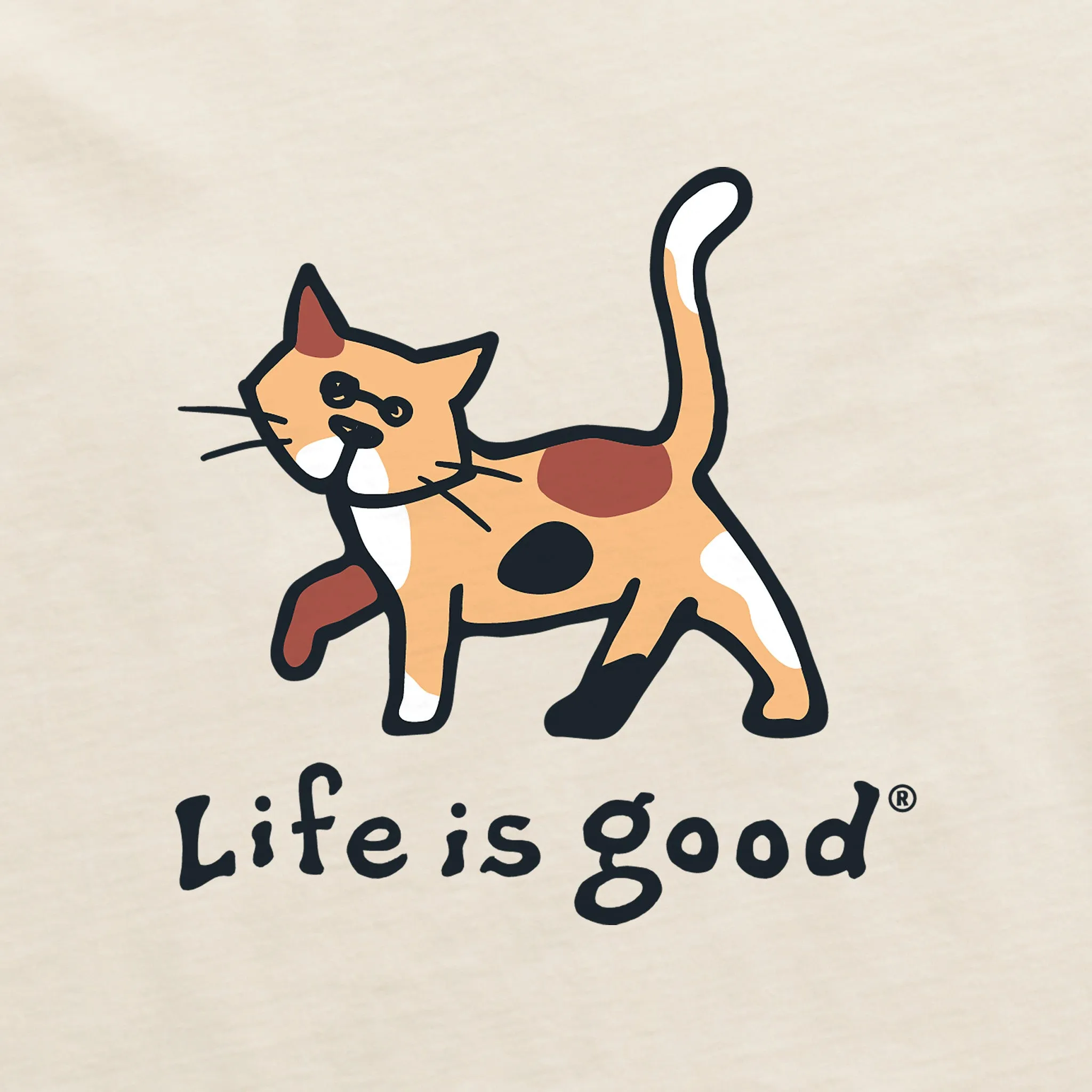 Women's Calico Al Mini Short Sleeve Crusher Tee Life is Good