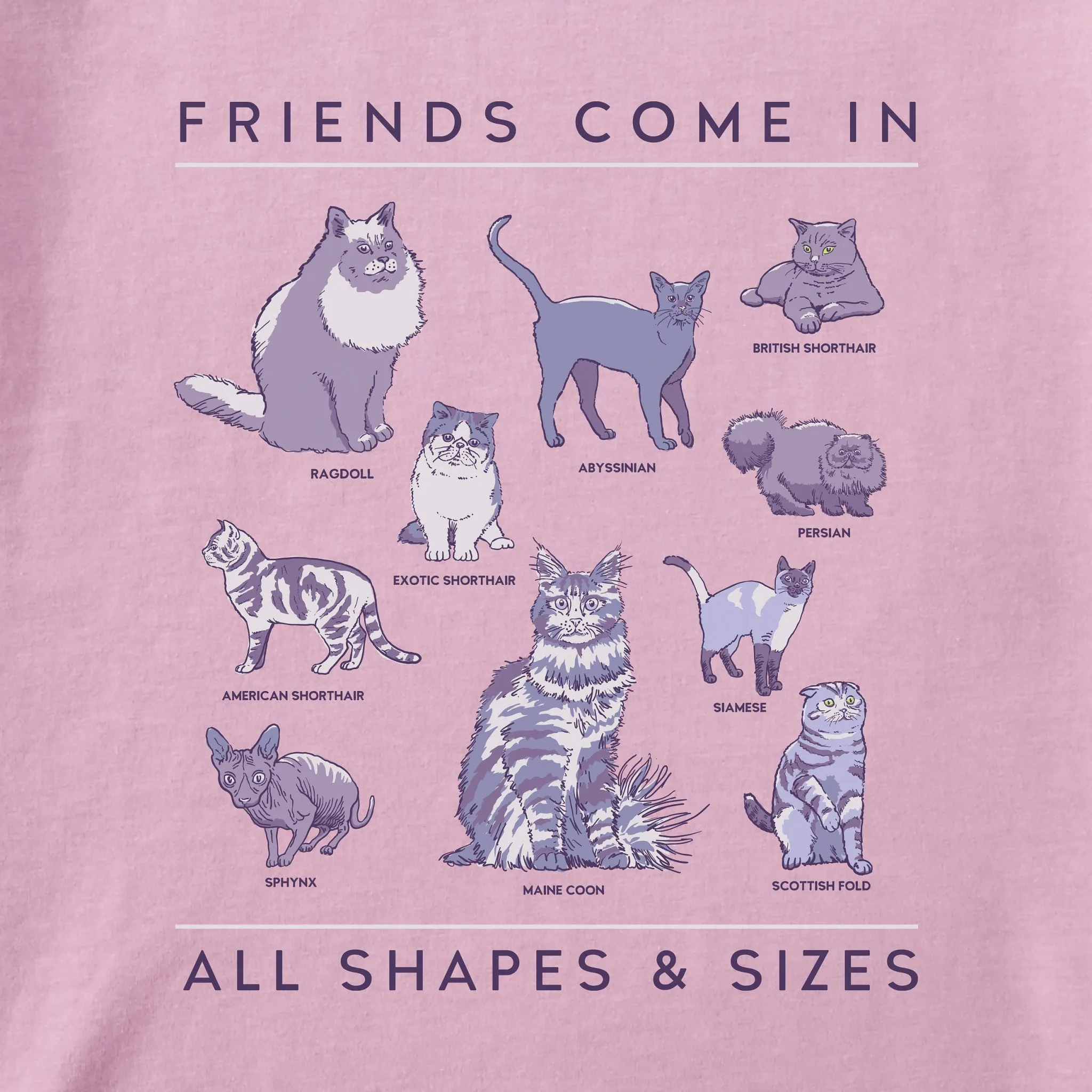 Women's Cat Friends Shapes & Sizes Short Sleeve Tee Life is Good