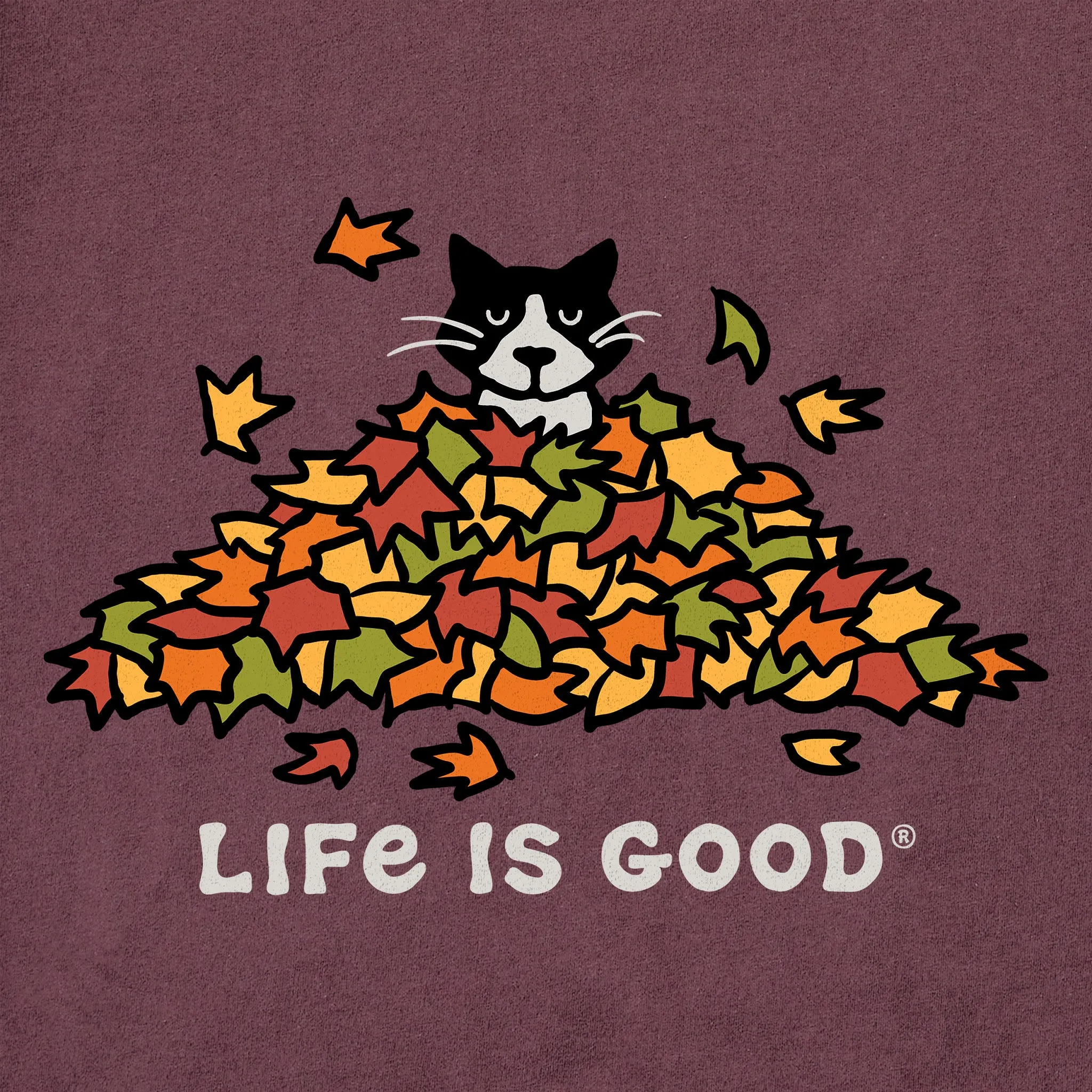 Women's Cat Gets Up and Leaves Short Sleeve Crusher Tee Life is Good