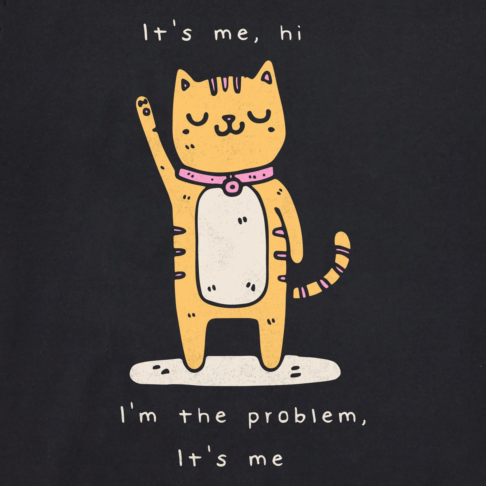 Women's Cat I'm the Problem Short Sleeve Crusher Boxy Tee Life is Good