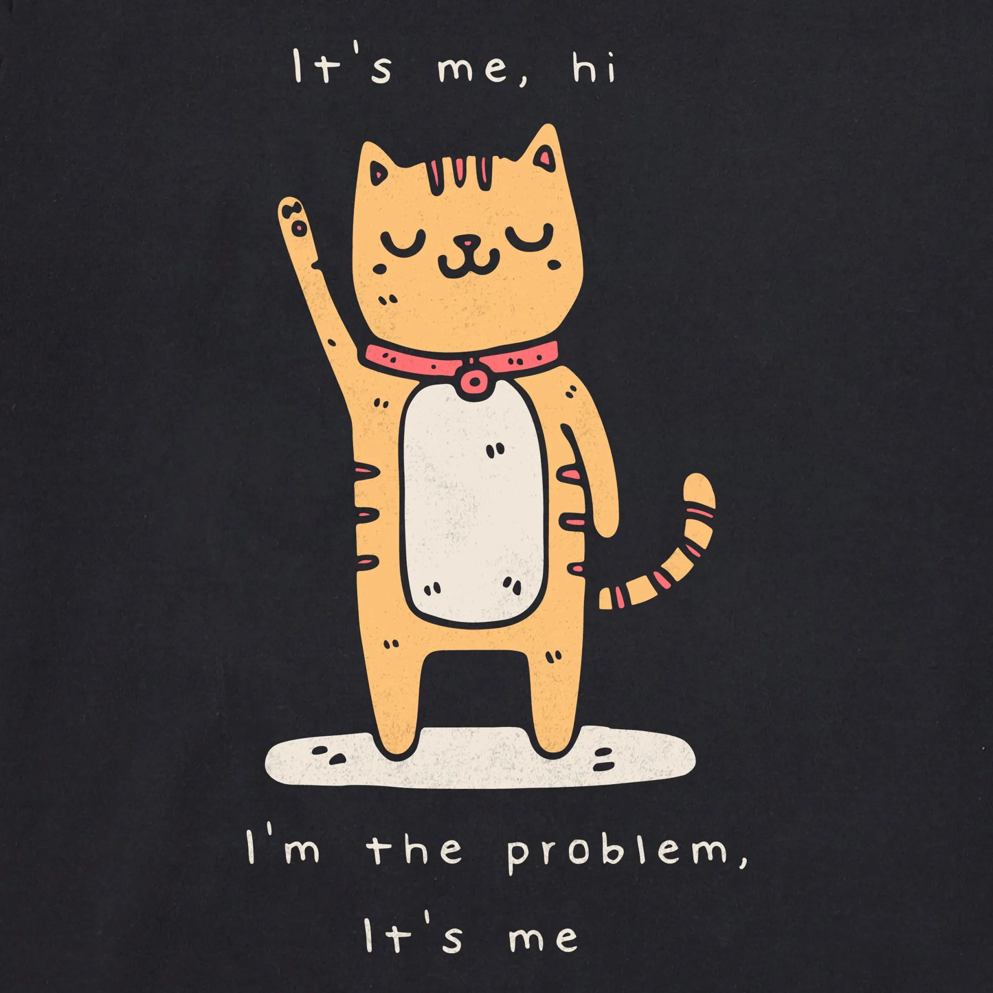 Women's Cat I'm the Problem Short Sleeve Tee Life is Good