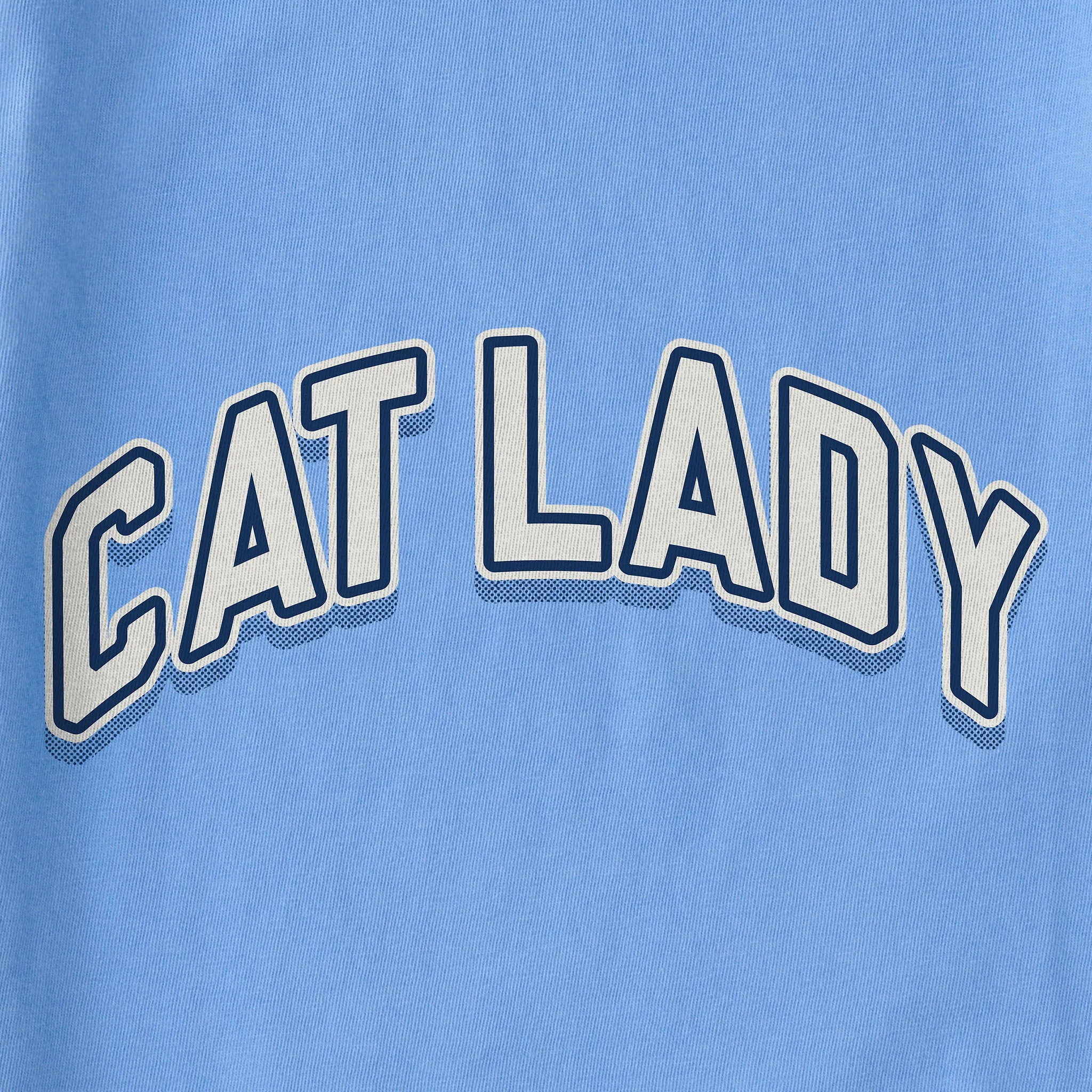 Women's Cat Lady Arch Short Sleeve Crusher Boxy Tee Life is Good