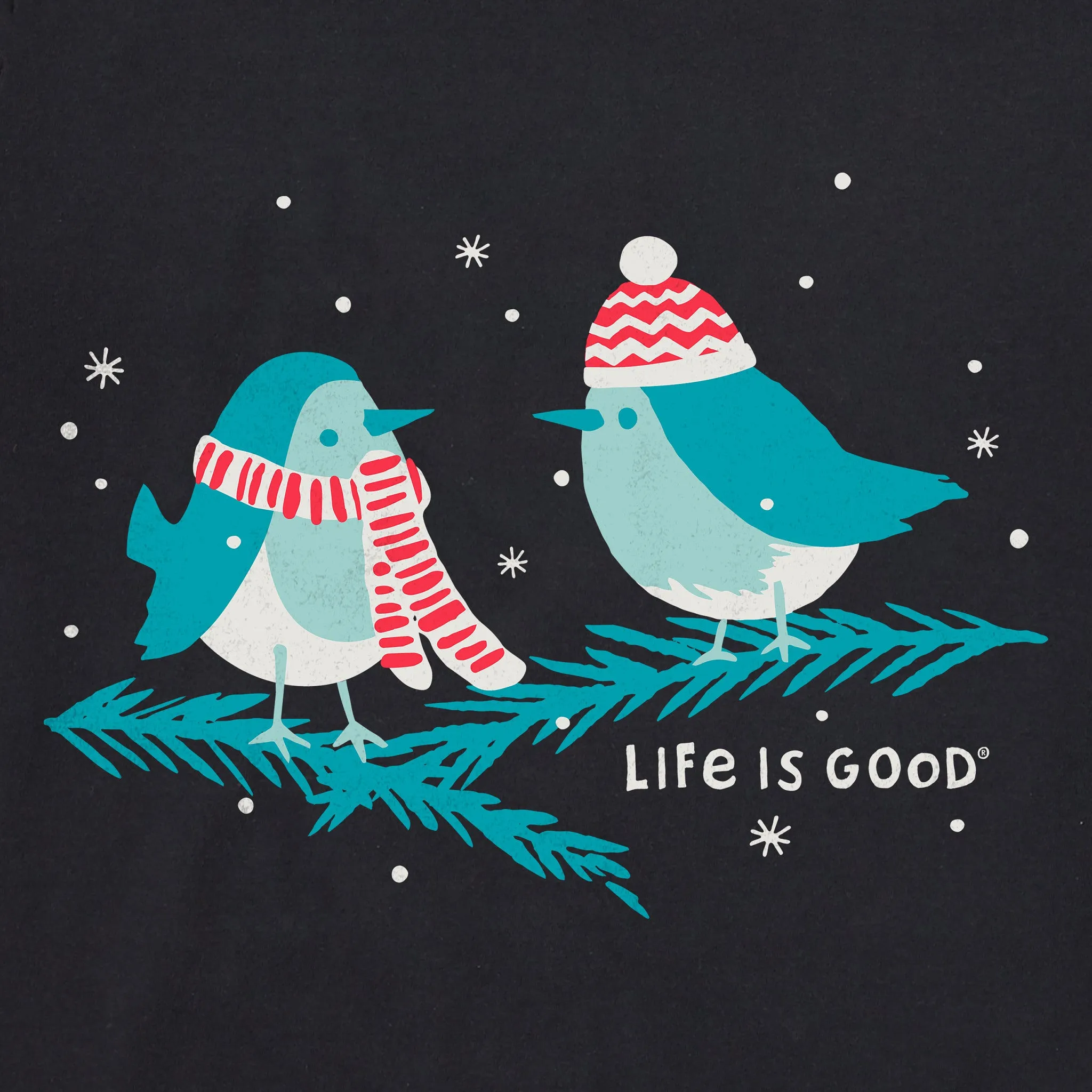 Women's Cozy Birds Short Sleeve Crusher Vee Life is Good