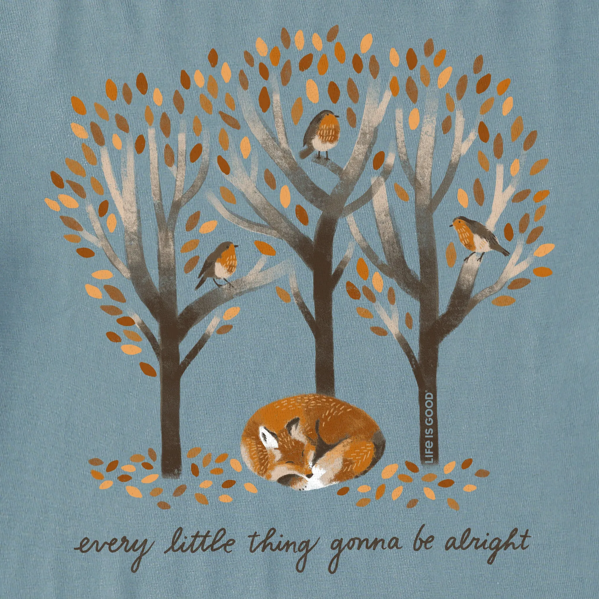 Women's Every Little Thing Fox Short Sleeve Tee Life is Good