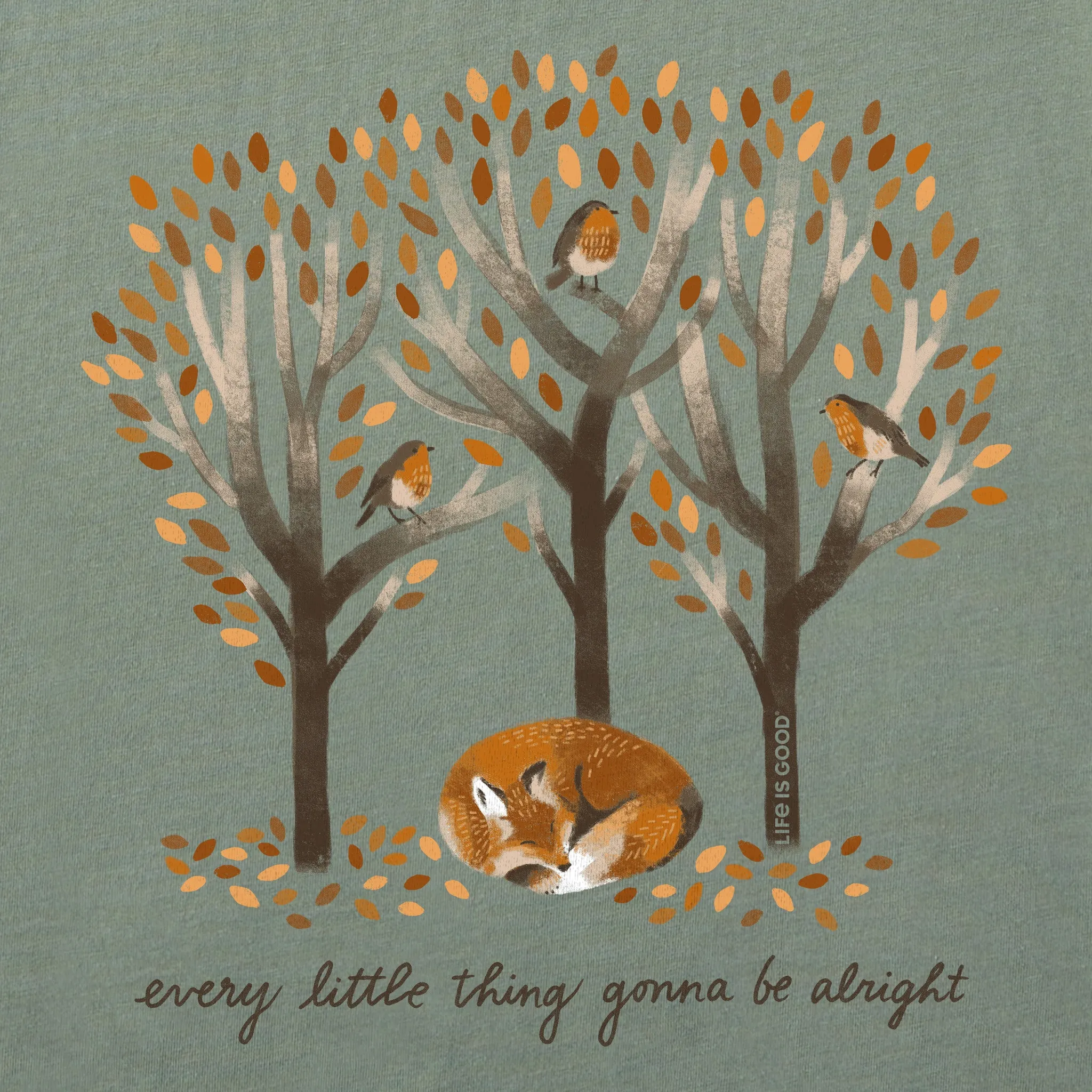 Women's Every Little Thing Fox Short Sleeve Tee Life is Good