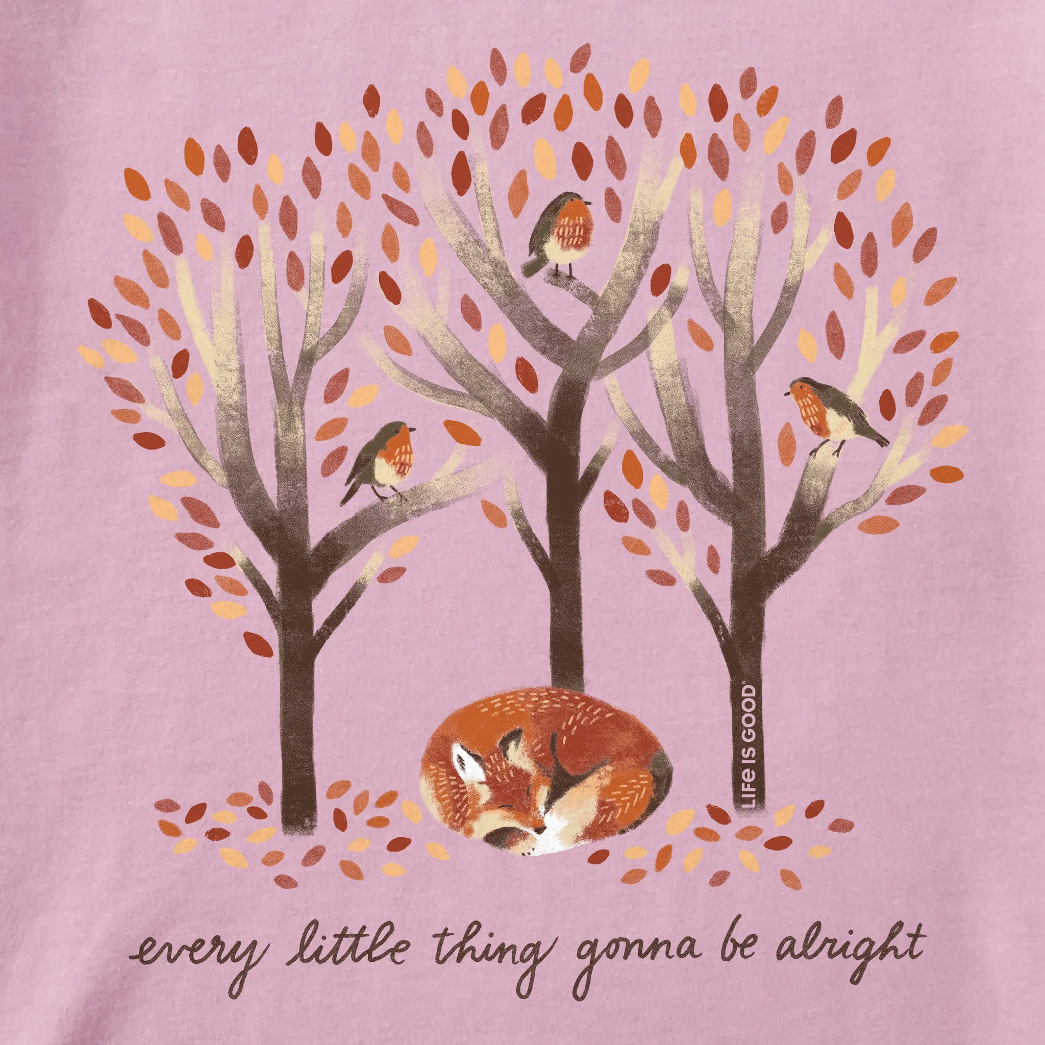 Women's Every Little Thing Fox Short Sleeve Tee Life is Good