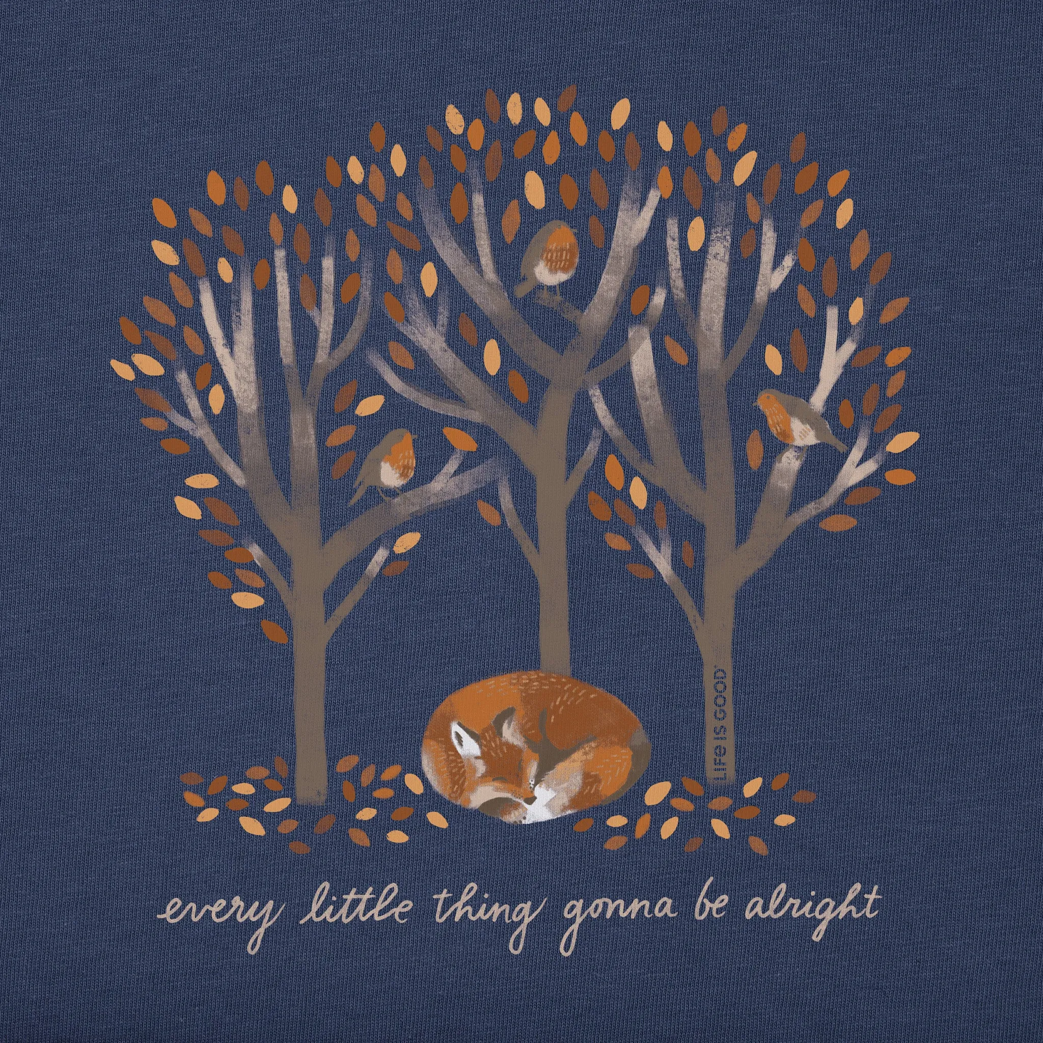 Women's Every Little Thing Fox Short Sleeve Tee Life is Good