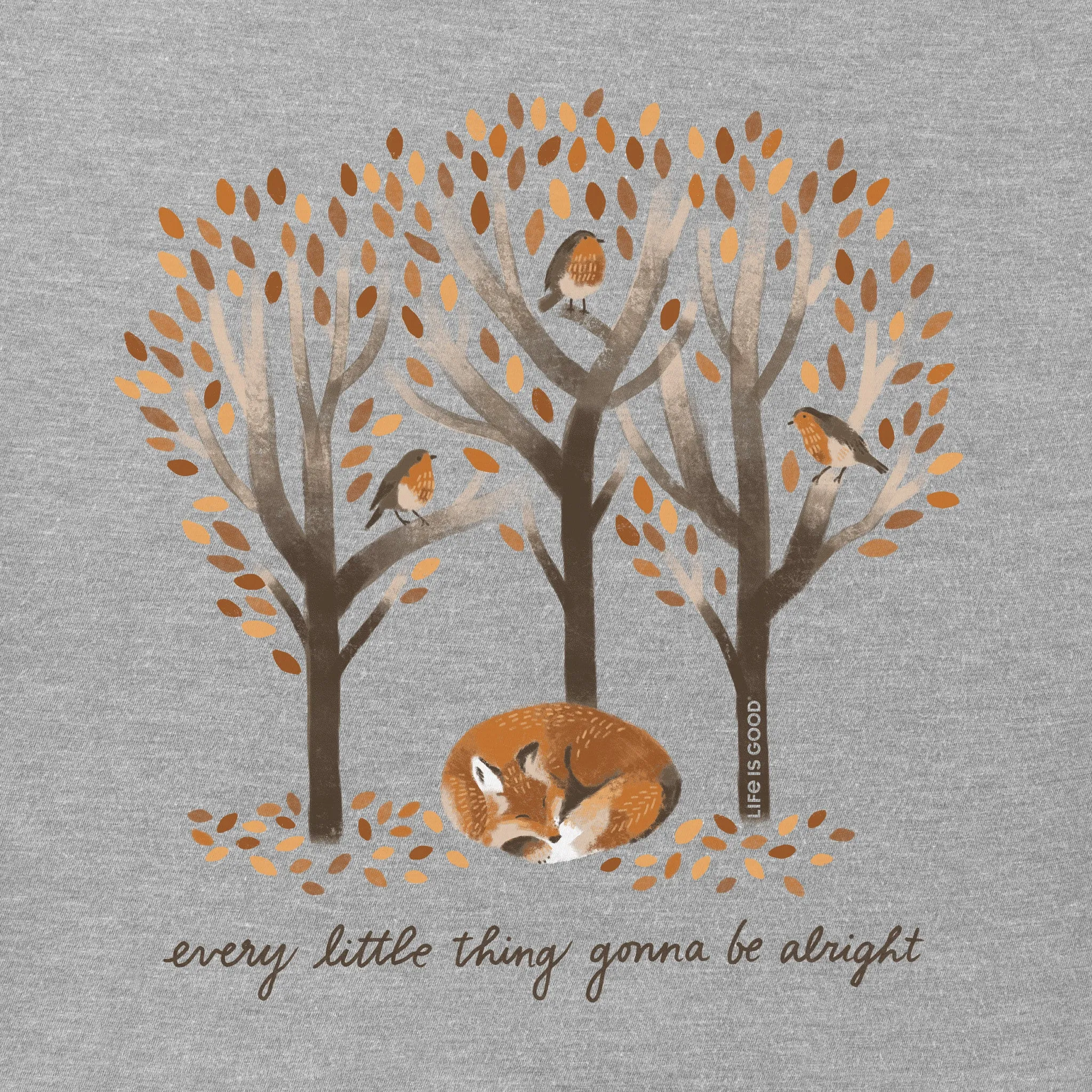 Women's Every Little Thing Fox Short Sleeve Tee Life is Good