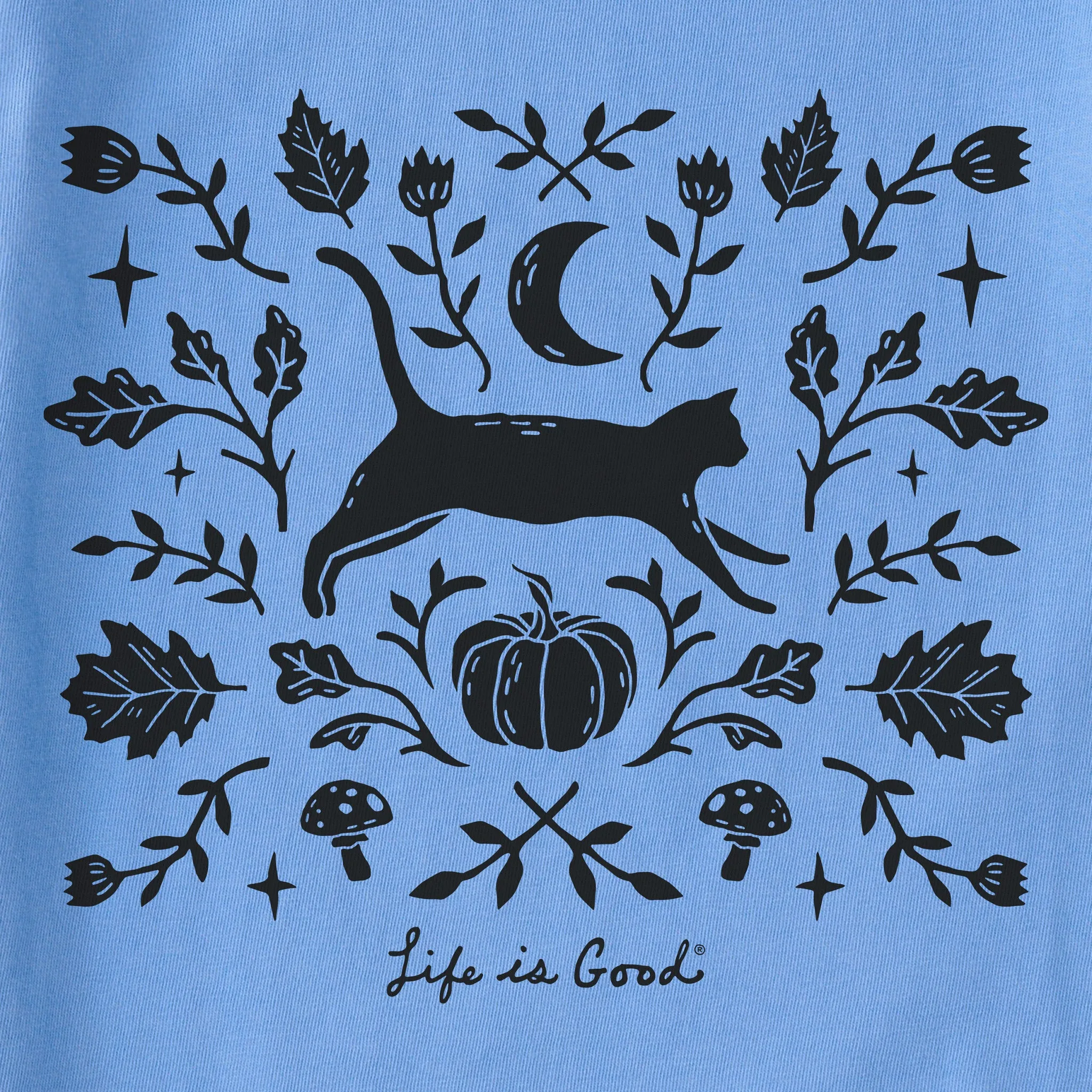 Women's Fall Foliage Cat Short Sleeve Crusher Boxy Tee Life is Good