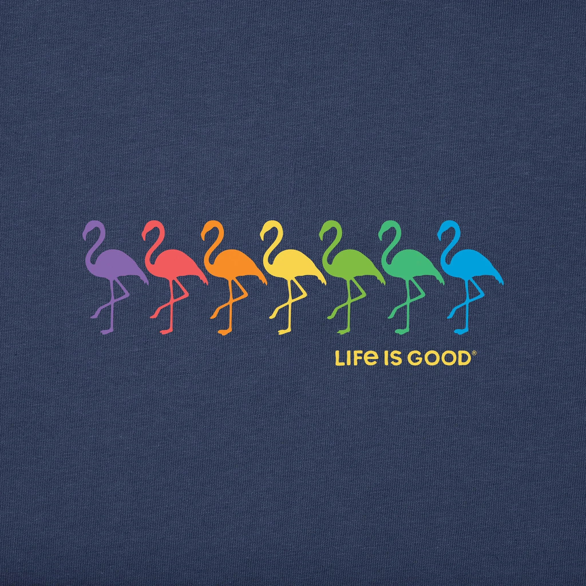Women's Flamingo Spectrum Short Sleeve Vee Life is Good