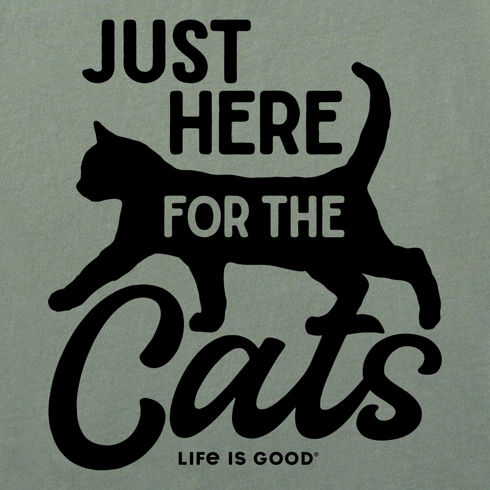 Women's Here for the Cats Short Sleeve Crusher Boxy Tee Life is Good