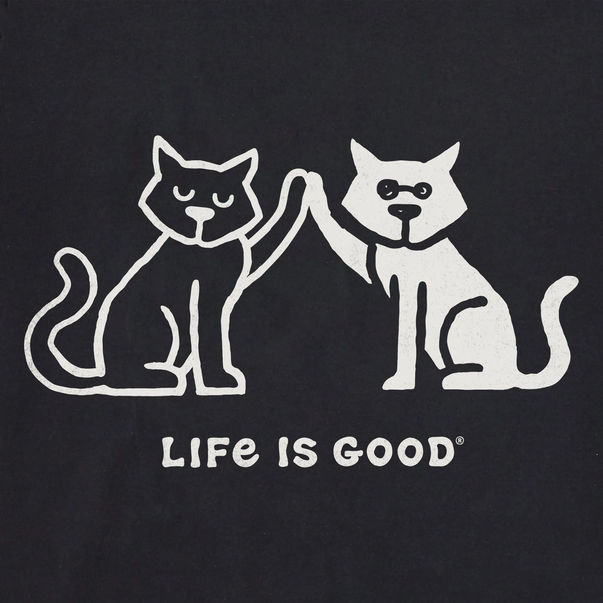 Women's High Five Cats Short Sleeve Vee Life is Good